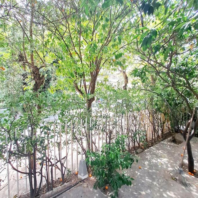 Ferienwohnung 20' From The Airport,20' From The Center Of Athen Exterior foto